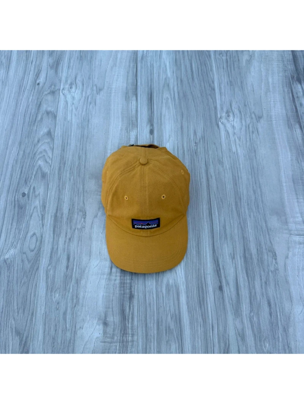 Patagonia P-6 Label Trad Cap